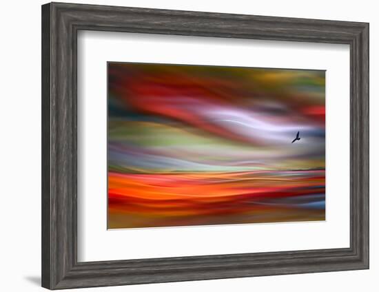 Lone Bird-Ursula Abresch-Framed Photographic Print