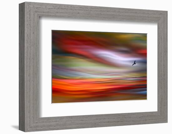 Lone Bird-Ursula Abresch-Framed Photographic Print