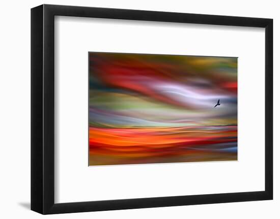 Lone Bird-Ursula Abresch-Framed Photographic Print