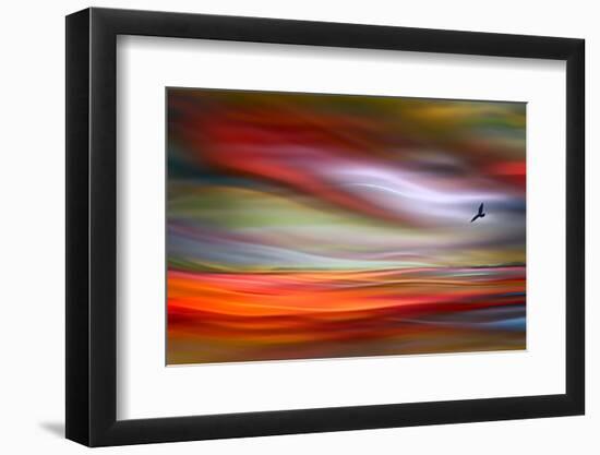 Lone Bird-Ursula Abresch-Framed Photographic Print