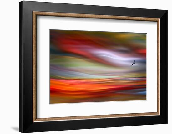 Lone Bird-Ursula Abresch-Framed Photographic Print