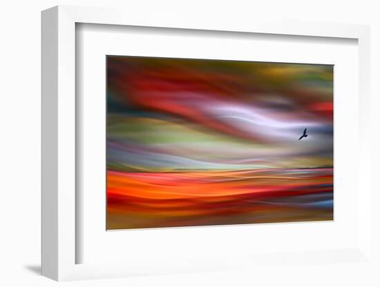 Lone Bird-Ursula Abresch-Framed Photographic Print