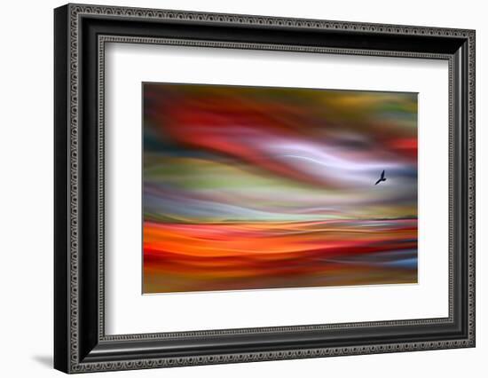 Lone Bird-Ursula Abresch-Framed Photographic Print