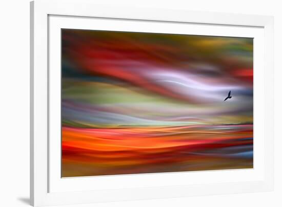 Lone Bird-Ursula Abresch-Framed Photographic Print