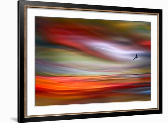 Lone Bird-Ursula Abresch-Framed Photographic Print