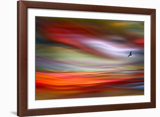 Lone Bird-Ursula Abresch-Framed Photographic Print