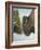 Lone Buffalo-Rusty Frentner-Framed Giclee Print