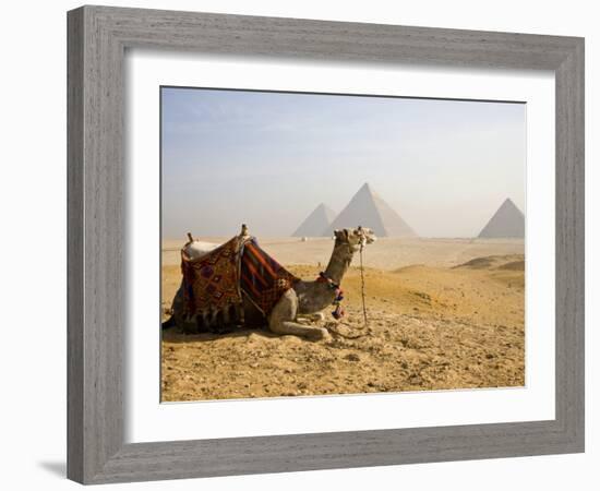 Lone Camel Gazes Across the Giza Plateau Outside Cairo, Egypt-Dave Bartruff-Framed Photographic Print