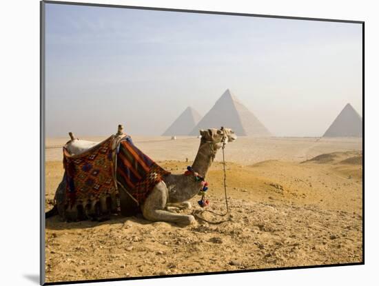 Lone Camel Gazes Across the Giza Plateau Outside Cairo, Egypt-Dave Bartruff-Mounted Photographic Print