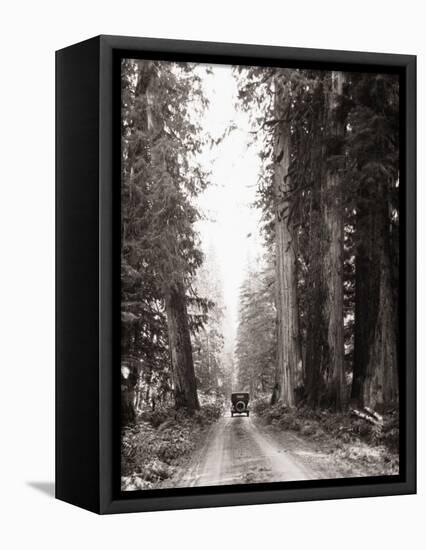 Lone Car on Forest Dirt Road-Bettmann-Framed Premier Image Canvas