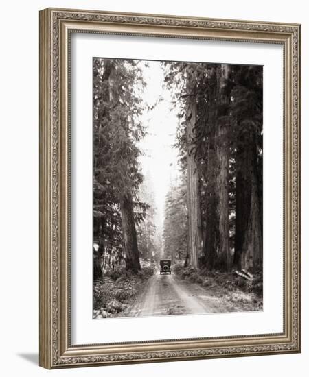 Lone Car on Forest Dirt Road-Bettmann-Framed Photographic Print