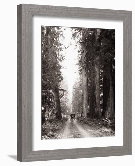 Lone Car on Forest Dirt Road-Bettmann-Framed Photographic Print