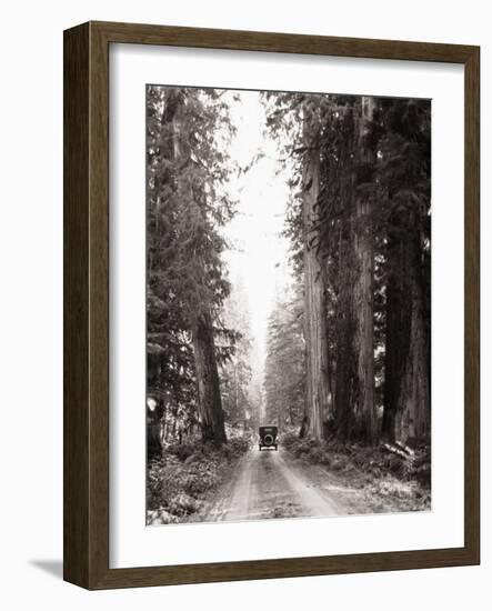 Lone Car on Forest Dirt Road-Bettmann-Framed Photographic Print