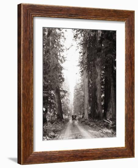 Lone Car on Forest Dirt Road-Bettmann-Framed Photographic Print