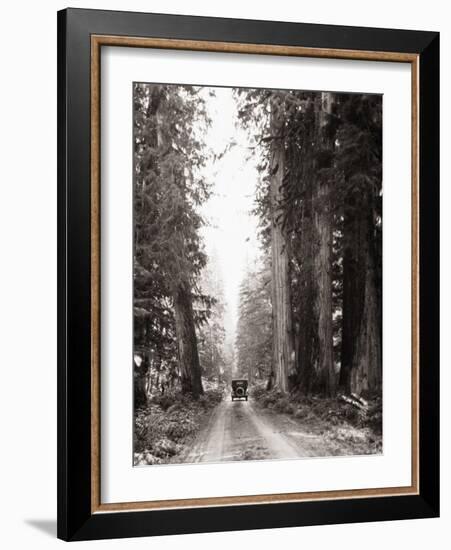 Lone Car on Forest Dirt Road-Bettmann-Framed Photographic Print