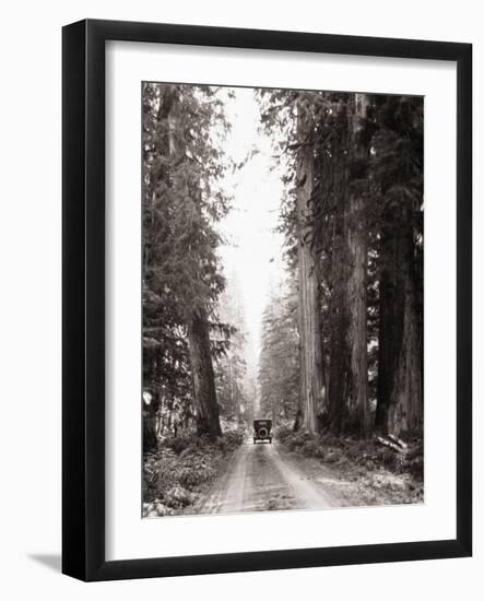 Lone Car on Forest Dirt Road-Bettmann-Framed Photographic Print