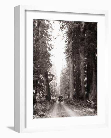 Lone Car on Forest Dirt Road-Bettmann-Framed Photographic Print