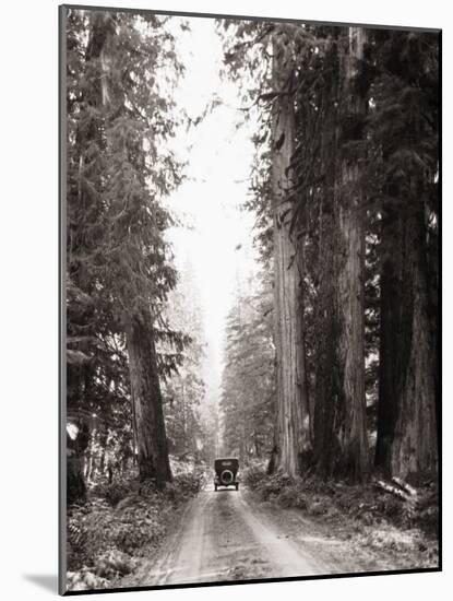 Lone Car on Forest Dirt Road-Bettmann-Mounted Photographic Print
