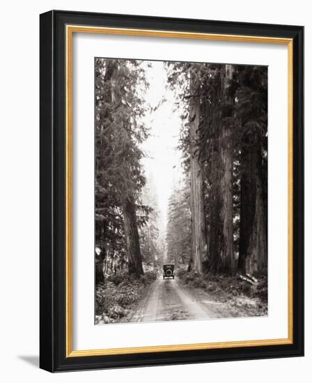 Lone Car on Forest Dirt Road-Bettmann-Framed Photographic Print