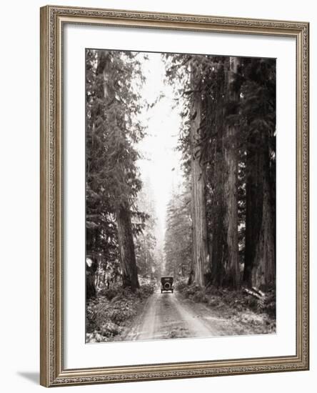 Lone Car on Forest Dirt Road-Bettmann-Framed Photographic Print