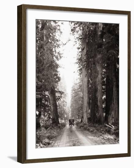 Lone Car on Forest Dirt Road-Bettmann-Framed Photographic Print