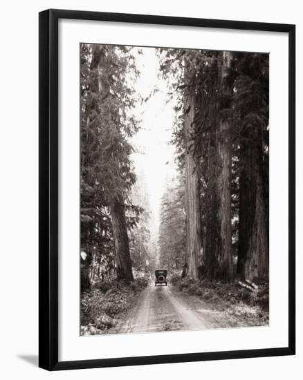 Lone Car on Forest Dirt Road-Bettmann-Framed Photographic Print