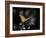 Lone Colored Butterfly I-Gail Peck-Framed Photographic Print