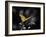 Lone Colored Butterfly I-Gail Peck-Framed Photographic Print