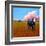 Lone Cow-Patty Baker-Framed Art Print