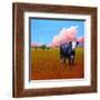 Lone Cow-Patty Baker-Framed Art Print