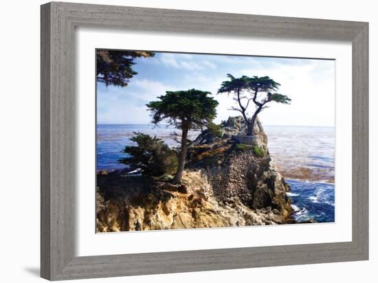 Lone Cypress 2-Alan Hausenflock-Framed Photographic Print