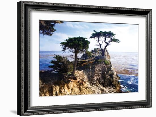 Lone Cypress 2-Alan Hausenflock-Framed Photographic Print