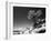 Lone Cypress, (infrared), Monterey, California 80-Monte Nagler-Framed Photographic Print