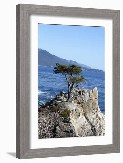 Lone Cypress on the 17-Mile Drive, Monterey Peninsula, California-Carol Highsmith-Framed Photo