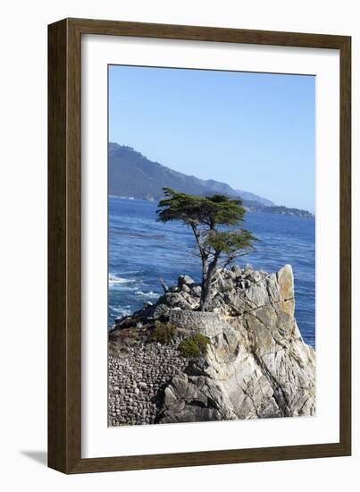 Lone Cypress on the 17-Mile Drive, Monterey Peninsula, California-Carol Highsmith-Framed Photo