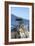 Lone Cypress on the 17-Mile Drive, Monterey Peninsula, California-Carol Highsmith-Framed Photo