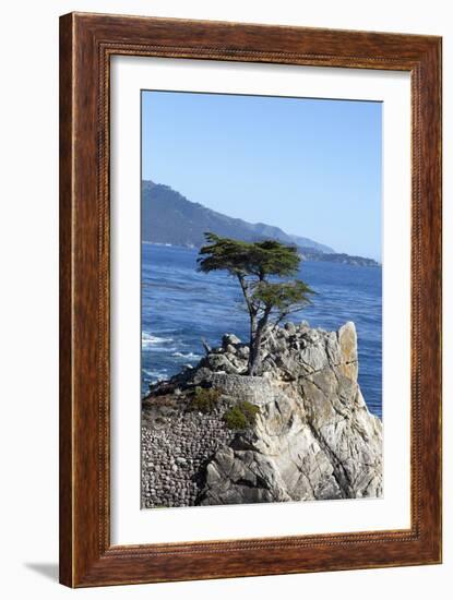 Lone Cypress on the 17-Mile Drive, Monterey Peninsula, California-Carol Highsmith-Framed Photo