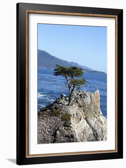 Lone Cypress on the 17-Mile Drive, Monterey Peninsula, California-Carol Highsmith-Framed Photo