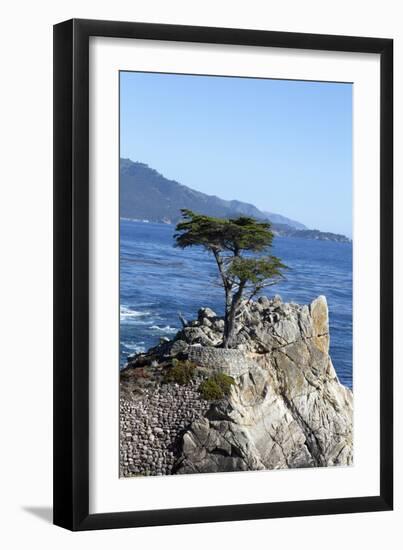 Lone Cypress on the 17-Mile Drive, Monterey Peninsula, California-Carol Highsmith-Framed Photo