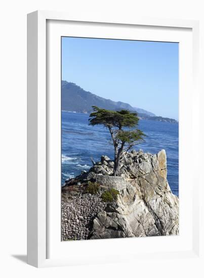 Lone Cypress on the 17-Mile Drive, Monterey Peninsula, California-Carol Highsmith-Framed Photo