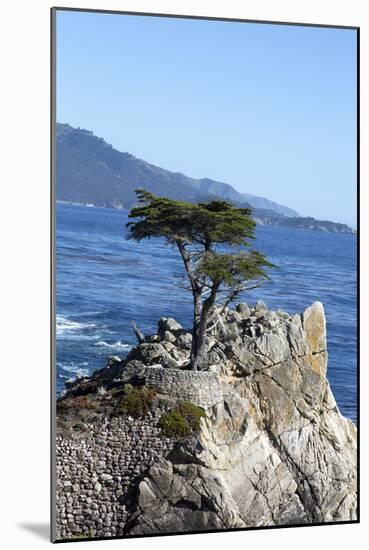 Lone Cypress on the 17-Mile Drive, Monterey Peninsula, California-Carol Highsmith-Mounted Photo