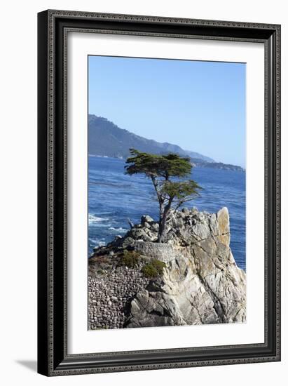 Lone Cypress on the 17-Mile Drive, Monterey Peninsula, California-Carol Highsmith-Framed Photo