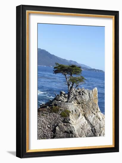 Lone Cypress on the 17-Mile Drive, Monterey Peninsula, California-Carol Highsmith-Framed Photo