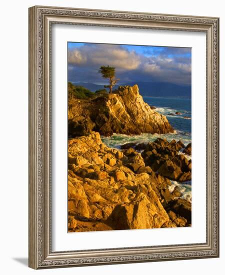 Lone cypress on the coast, Pebble Beach, Monterey County, California, USA-null-Framed Photographic Print