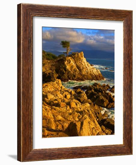 Lone cypress on the coast, Pebble Beach, Monterey County, California, USA-null-Framed Photographic Print