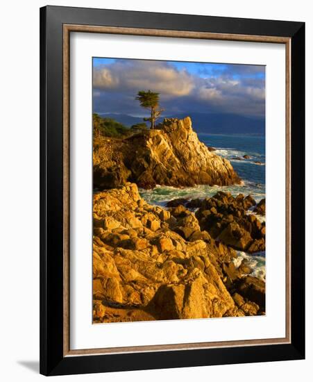 Lone cypress on the coast, Pebble Beach, Monterey County, California, USA-null-Framed Photographic Print