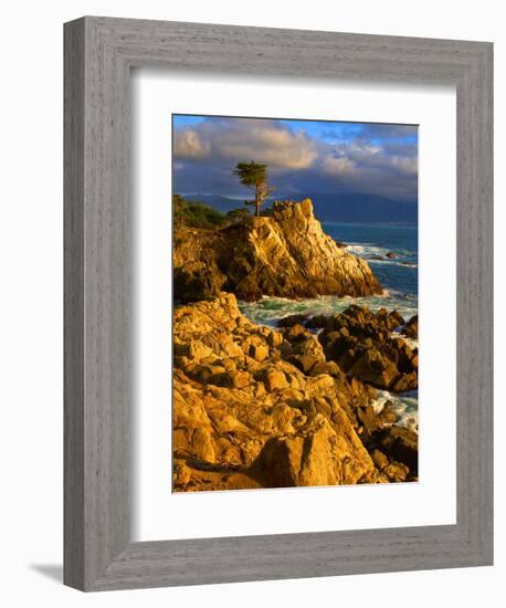 Lone cypress on the coast, Pebble Beach, Monterey County, California, USA-null-Framed Photographic Print