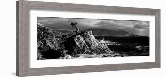 Lone cypress on the coast, Pebble Beach, Monterey County, California, USA-null-Framed Photographic Print