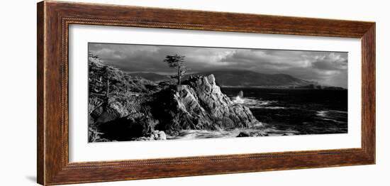 Lone cypress on the coast, Pebble Beach, Monterey County, California, USA-null-Framed Photographic Print