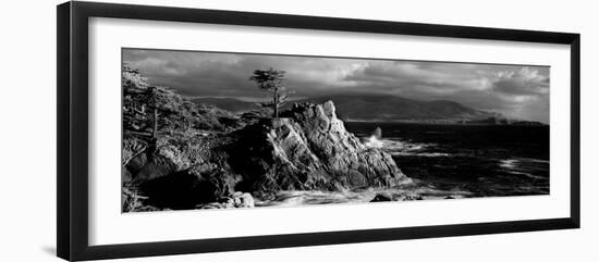 Lone cypress on the coast, Pebble Beach, Monterey County, California, USA-null-Framed Photographic Print